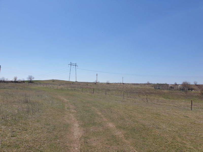 Image ad
