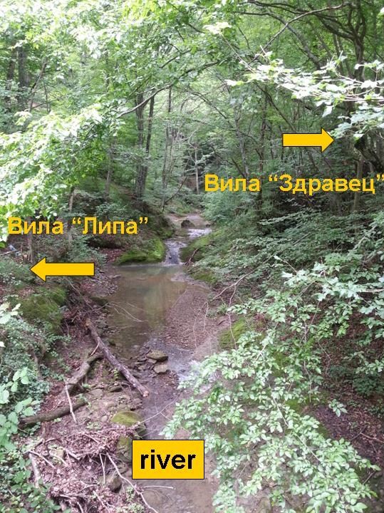 Image ad